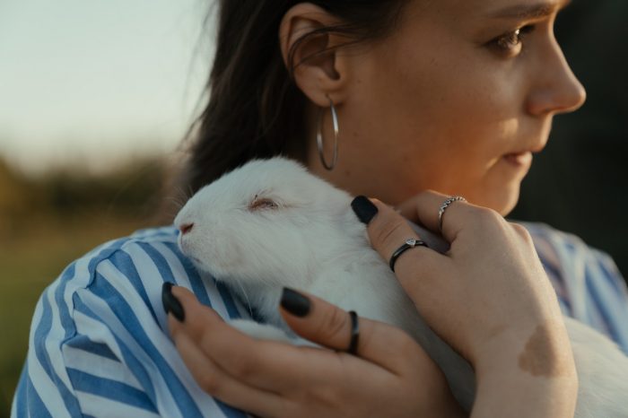 うさぎの老化のサインとは シニア期に飼い主さんができること シェリー ペットの幸せを一緒に考える