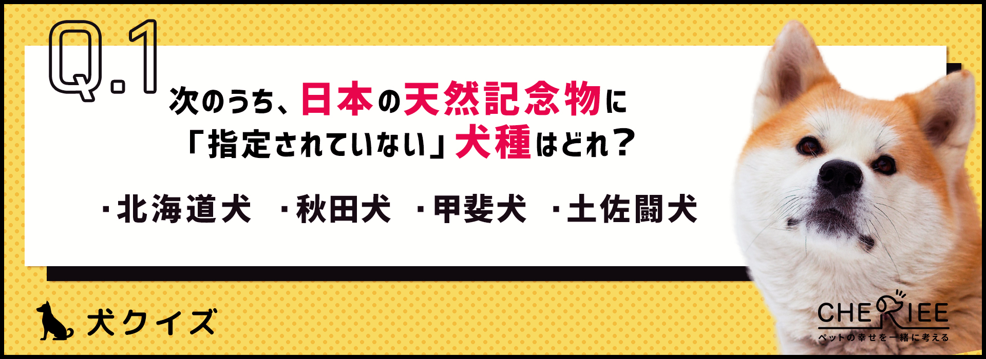 犬種クイズ 犬好きなら知っておきたい 日本犬の雑学 シェリー ペットの幸せを一緒に考える