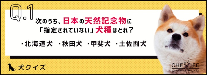 【犬種クイズ】犬好きなら知っておきたい！日本犬の雑学のアイキャッチ画像