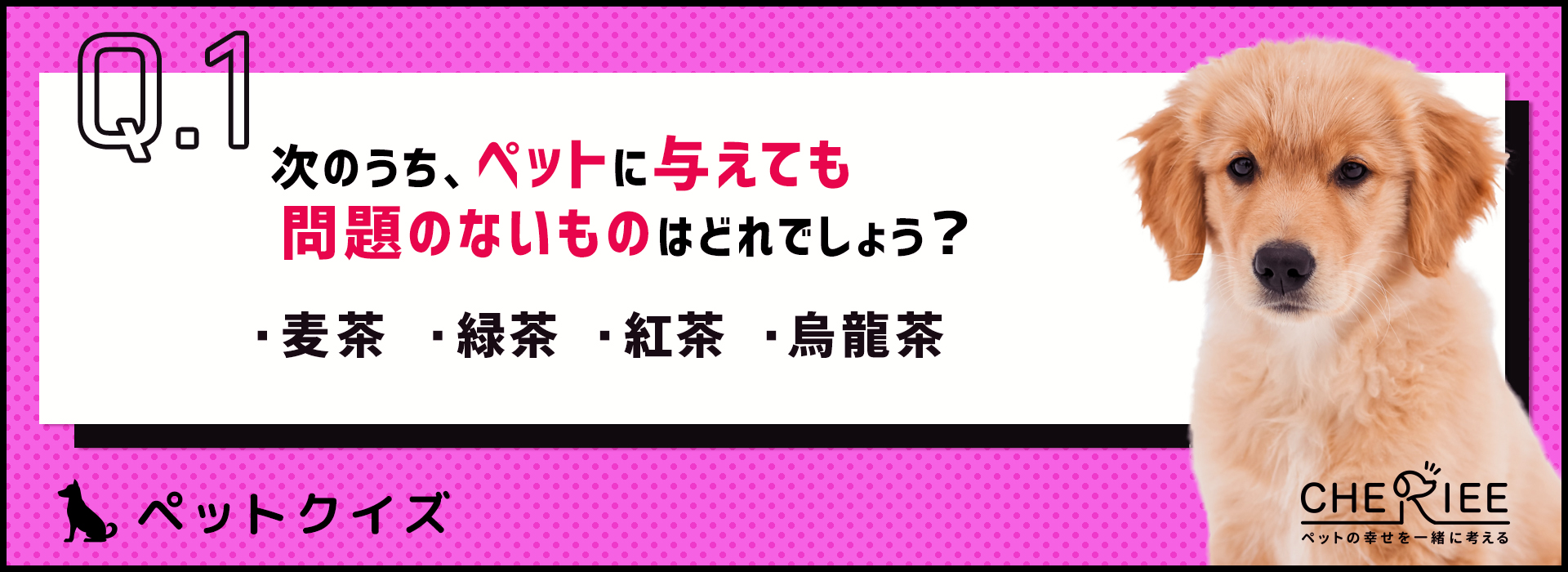 【クイズ】ペットにお茶は飲ませていいの？
