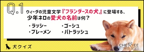 【クイズ】犬好きなら知っておきたい！犬が登場する文学作品のアイキャッチ画像