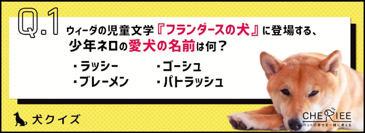 【クイズ】犬好きなら知っておきたい！犬が登場する文学作品のアイキャッチ画像