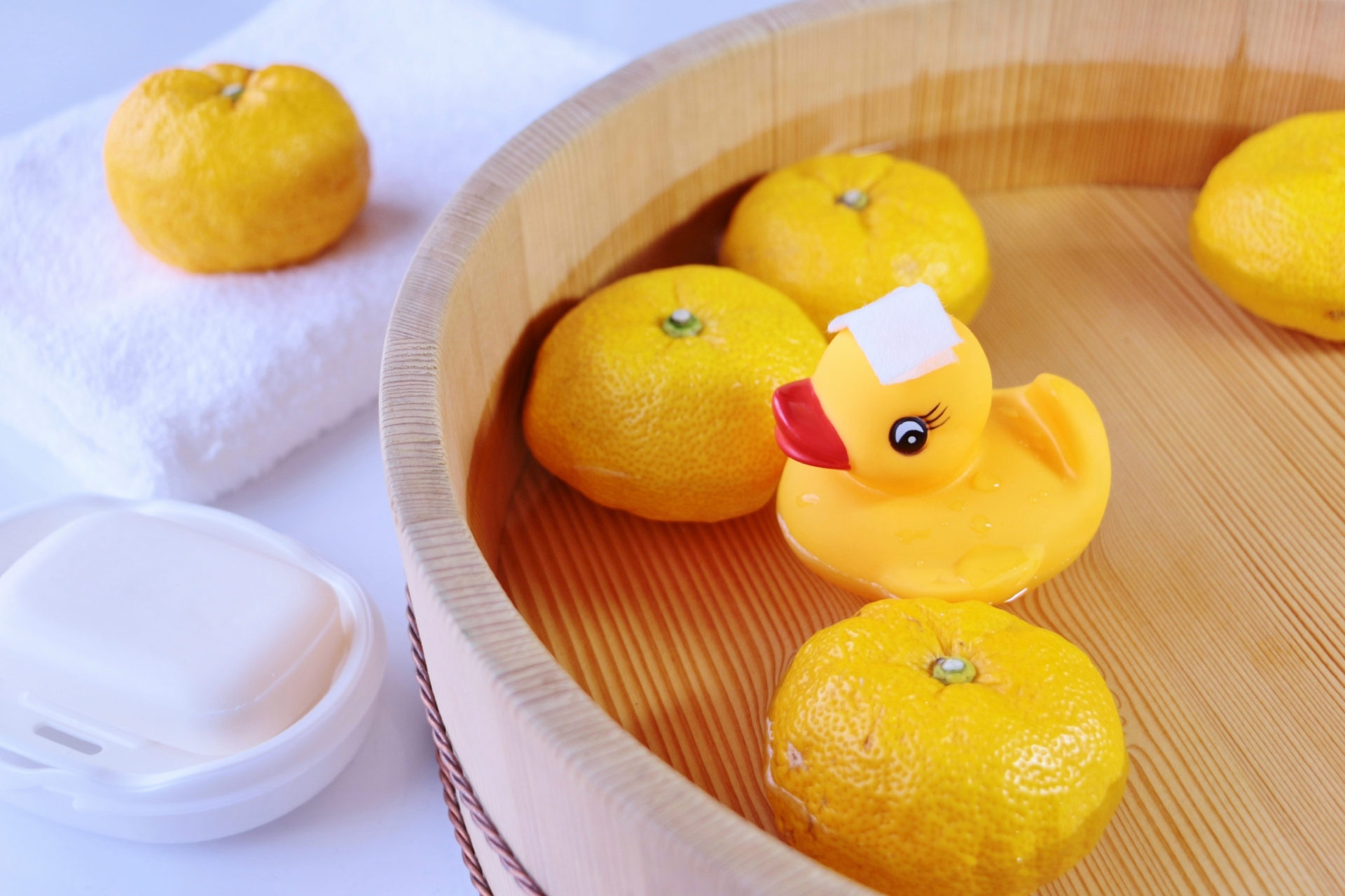 犬にゆずはNG？ゆず風呂に浸かるのもよくない理由とは