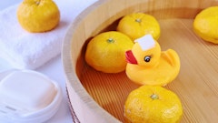 記事カテゴリ第5位