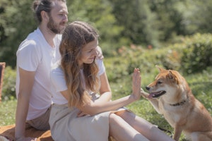 ワンプロって何 犬のじゃれ合いのメリットと注意点をご紹介 シェリー ペットの幸せを一緒に考える