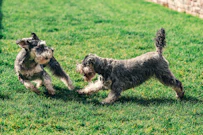 記事カテゴリ第3位