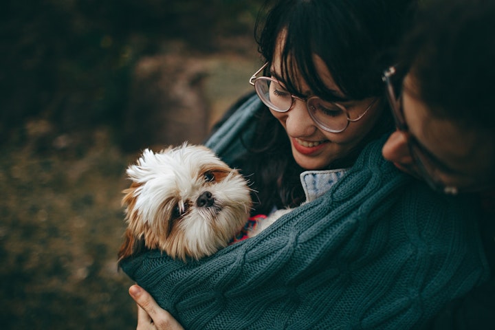 犬,寒さ,強い,弱い