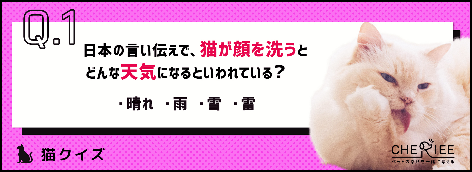 【クイズ】天気予報になる？猫がグルーミングを行う意味