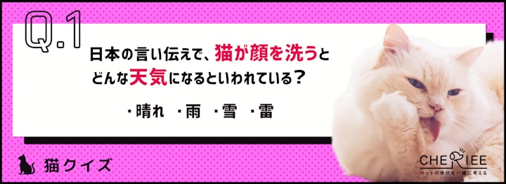 【クイズ】天気予報になる？猫がグルーミングを行う意味のアイキャッチ画像