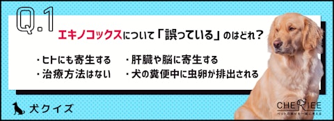【クイズ】本当に怖いエキノコックス症を予防しよう!のアイキャッチ画像