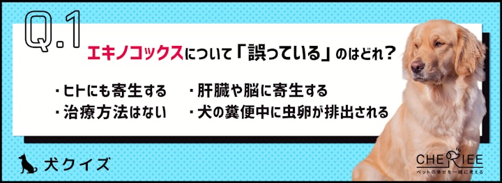 【クイズ】本当に怖いエキノコックス症を予防しよう！のアイキャッチ画像