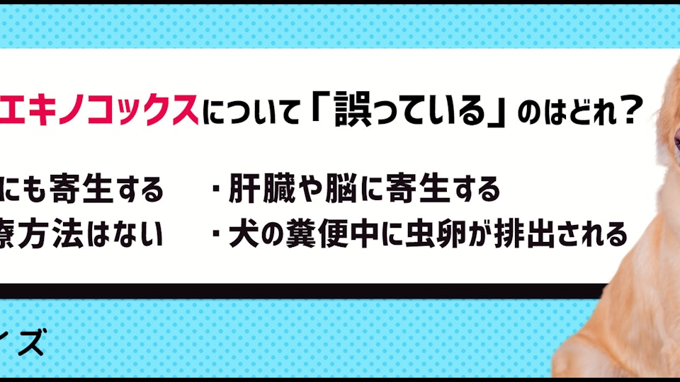 【クイズ】本当に怖いエキノコックス症を予防しよう!