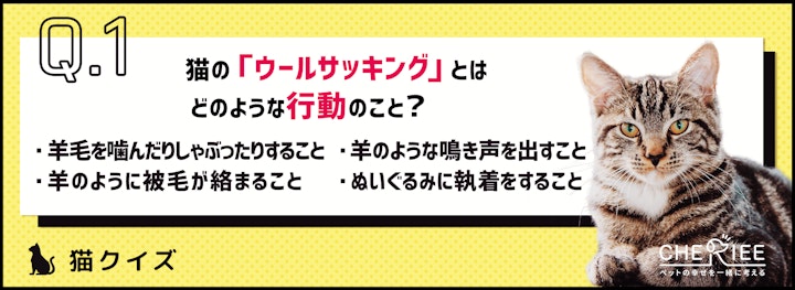 【猫クイズ】飼育環境に注意を！猫のウールサッキングって知ってる？のアイキャッチ画像