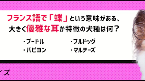 【犬種クイズ】犬の品種名の語源や意味って知ってる?のアイキャッチ画像