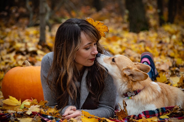 犬,鼻,乾燥,濡れている,理由,匂い,嗅覚,体温調節,鼻水,病気,原因,老化