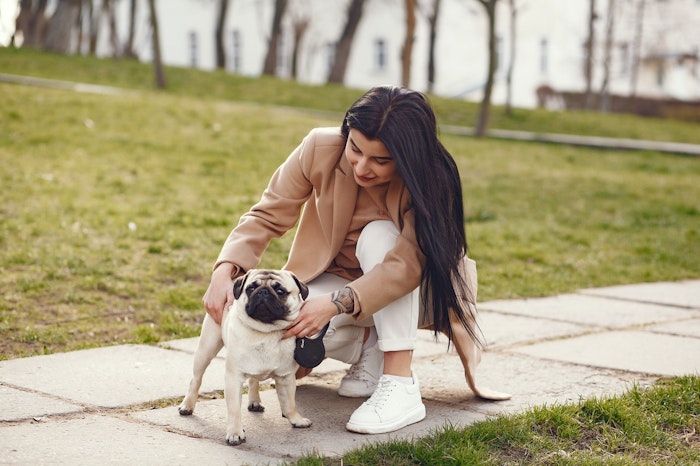 パグ,好発疾患,飼い方,犬種,病気