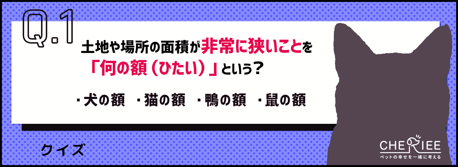 【クイズ】いくつ知ってる？動物が登場する昔ながらの言い回し
