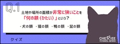 記事カテゴリ第5位