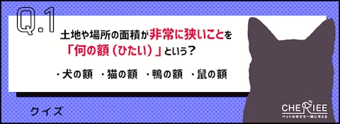 【クイズ】いくつ知ってる？動物が登場する昔ながらの言い回しのアイキャッチ画像