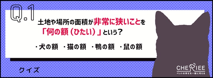 【クイズ】いくつ知ってる？動物が登場する昔ながらの言い回しのアイキャッチ画像