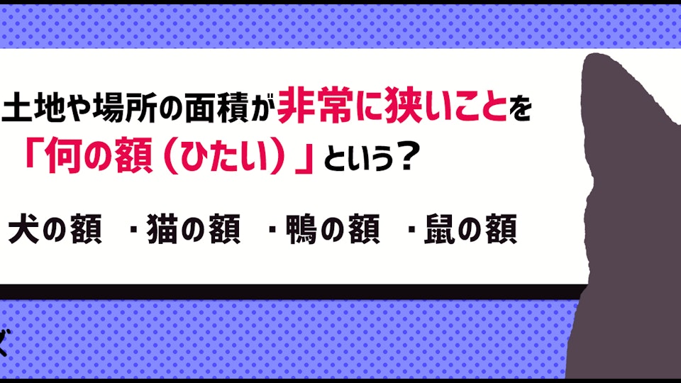 【クイズ】いくつ知ってる?動物が登場する昔ながらの言い回し