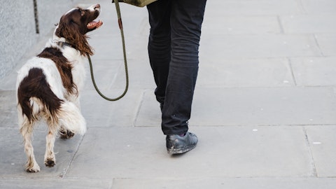 犬の衰えは後ろ足から!簡単にできる後ろ足トレーニングをご紹介のアイキャッチ画像