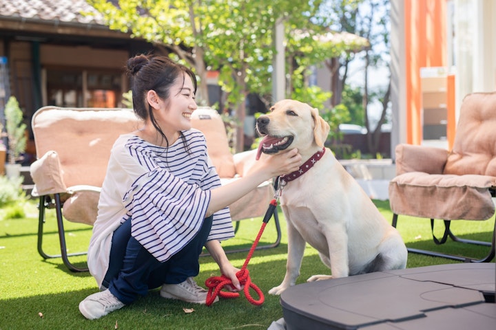 犬,犬種,ラブラドールレトリーバー,歴史,特徴,性格,好発疾患,獣医師監修