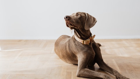 乾燥の時期こそ愛犬にスキンケアを!内側からもケアしようのアイキャッチ画像