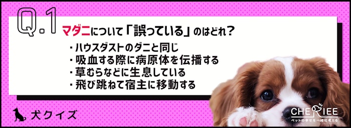 【クイズ】ヒトにも病害をもたらす！気をつけたい犬のマダニとは？のアイキャッチ画像