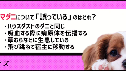 【クイズ】ヒトにも病害をもたらす!気をつけたい犬のマダニとは?のアイキャッチ画像