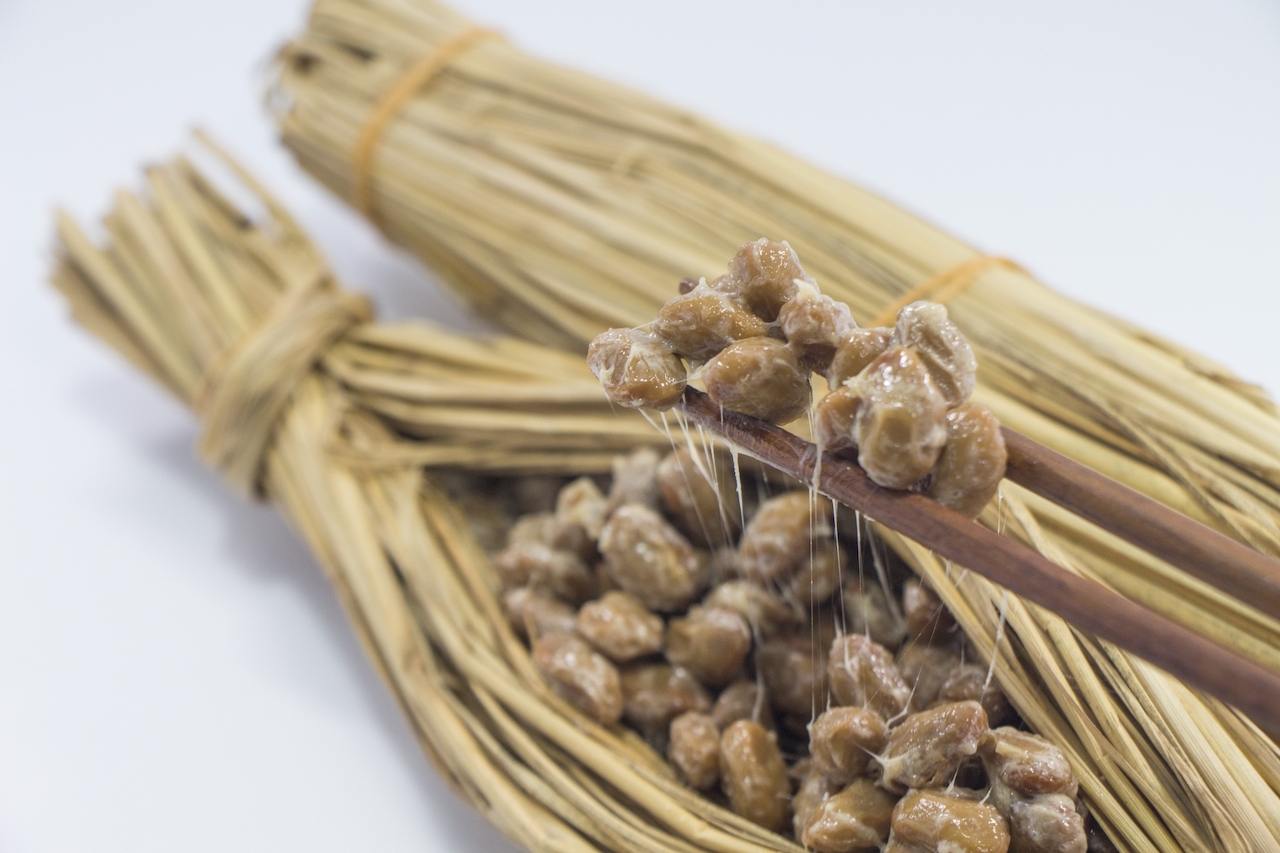 納豆は犬が食べても大丈夫！与え方と注意点をご紹介