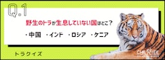 記事カテゴリ第4位