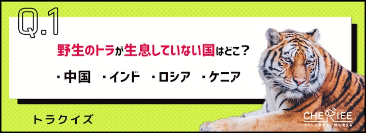 【クイズ】トラの雑学、どこまで知ってる？【今年の干支】のアイキャッチ画像