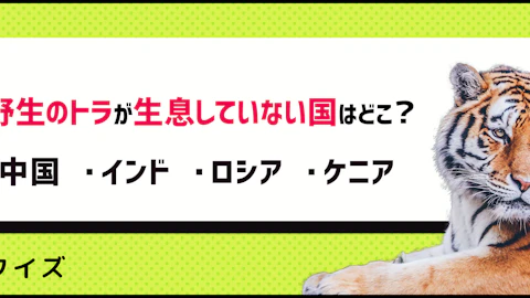 【クイズ】トラの雑学、どこまで知ってる?【今年の干支】のアイキャッチ画像