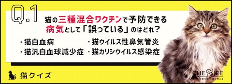 【クイズ】愛猫が健康でいるために、予防すべき病気を知ろう！のアイキャッチ画像