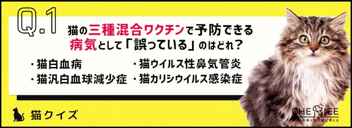 【クイズ】愛猫が健康でいるために、予防すべき病気を知ろう！のアイキャッチ画像