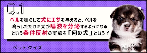 【クイズ】世界的な賞を受賞した、ペットに関わる研究の雑学のアイキャッチ画像