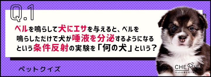 【クイズ】世界的な賞を受賞した、ペットに関わる研究の雑学のアイキャッチ画像