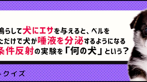 【クイズ】世界的な賞を受賞した、ペットに関わる研究の雑学のアイキャッチ画像