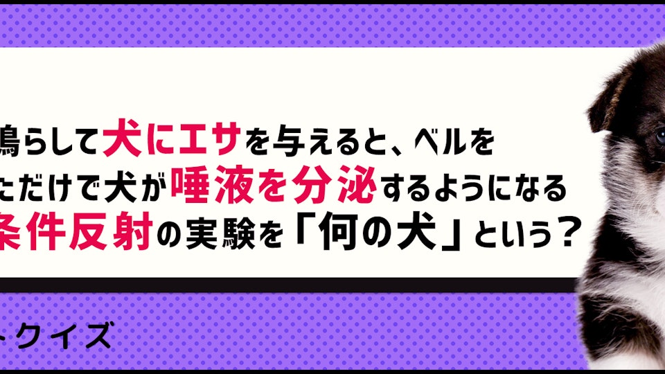 【クイズ】世界的な賞を受賞した、ペットに関わる研究の雑学
