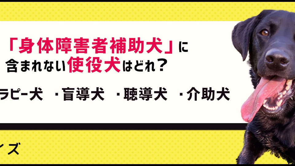 【クイズ】私たちの生活を支援してくれる使役犬って知ってる?