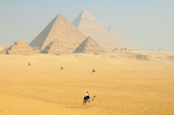 猫,歴史,リビアヤマネコ,足跡,エジプト,メソポタミア