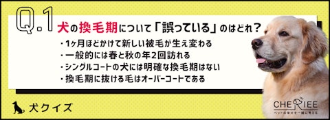 【クイズ】犬の換毛期って？お手入れの重要性を改めて確認しよう！のアイキャッチ画像