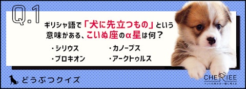 【クイズ】身近な動物の名前がついた星座って知ってる？のアイキャッチ画像