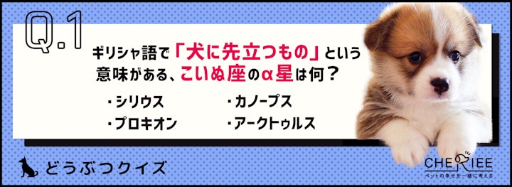 【クイズ】身近な動物の名前がついた星座って知ってる？のアイキャッチ画像