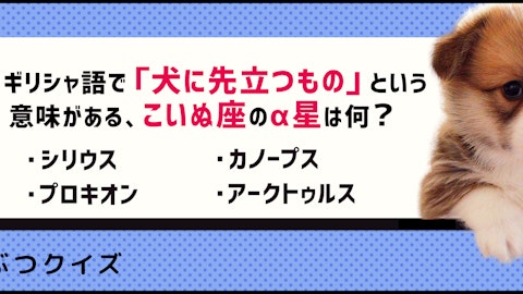 【クイズ】身近な動物の名前がついた星座って知ってる?のアイキャッチ画像