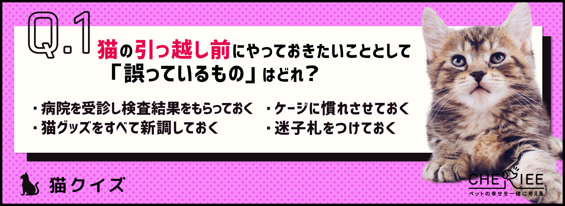 【クイズ】猫と一緒に引っ越す前に準備すべきこととは？