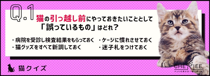 【クイズ】猫と一緒に引っ越す前に準備すべきこととは？のアイキャッチ画像