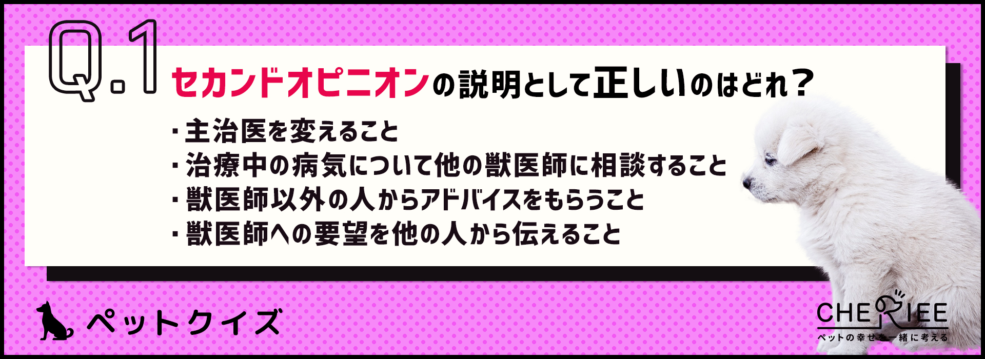 【クイズ】気まずい？遠慮しちゃう？ペットのセカンドオピニオンとは