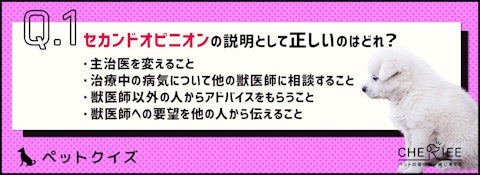 【クイズ】気まずい?遠慮しちゃう?ペットのセカンドオピニオンとはのアイキャッチ画像